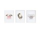 Set of 3 pictures Crochetts Multicolour MDF Wood 33 x 43 x 2 cm Zebra Cow Koala (3 Pieces)