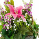 Flores Decorativas Alexandra House Living Multicolor 25 x 36 x 31 cm