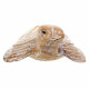Decorative Figure Alexandra House Living White Natural Wood Glass Tortoise 8 x 20 x 31 cm