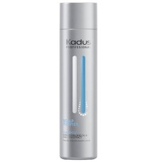 Shampoo Kadus Purifying 250 ml