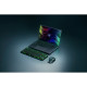Ratón Gaming con LED Razer RZ01-04910100-R3M1