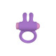 Anillo para el Pene Party Color Toys Lila Silicona
