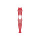 Whole body Obsessive N122 Red S/M/L