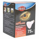 Infrared light bulb Trixie
