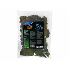 Sustrato Trixie 200 gr Musgo