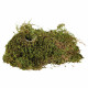 Substrate Trixie 200 gr Moss