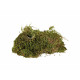 Substrate Trixie 200 gr Moss