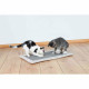 Scratching Post for Cats Trixie Grey Light grey Polyester Sisal EVA 55 × 35 cm