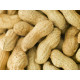 Bird food Deli Nature Premium 1,6 kg