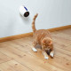 Laser Pointer Trixie