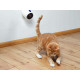 Laser Pointer Trixie
