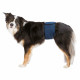 Strap Trixie 55-65 cm Male Plug Abdomen