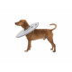 Elizabethan Dog Collar Trixie Grey (30-34 cm)
