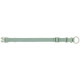 Collar para Perro Trixie Premium Verde S/M 30-45 cm