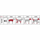 Hair clipper for pets Trixie MBG-2