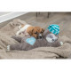 Peluche para perros Trixie Poliéster Felpa Oso perezoso 34 cm Multicolor