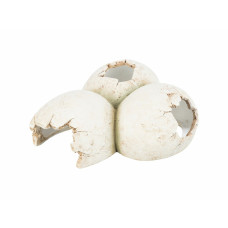 Cueva para reptiles Trixie Blanco