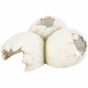 Cueva para reptiles Trixie Blanco