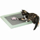 Rascador para Gatos Trixie Gris Menta 47 x 47 cm