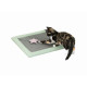 Rascador para Gatos Trixie Gris Menta 47 x 47 cm