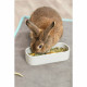 Comedero para Mascotas Trixie 600 ml