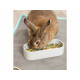 Comedero para Mascotas Trixie 600 ml
