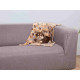 Manta para Mascotas Trixie Laslo Beige 75 × 50 cm