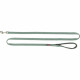 Correa para Perro Trixie Premium Verde 1,8 m XS/S