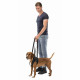 Dog walker Trixie