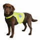 Dog Waistcoat Trixie Yellow L