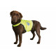 Dog Waistcoat Trixie Yellow L