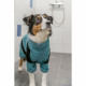 Dog bathrobe Trixie Blue S