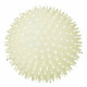 Dog toy Trixie Ball