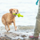 Dog toy Trixie 29 cm