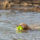 Dog toy Trixie 29 cm