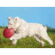 Frisbee Trixie Natural rubber Ø 24 cm