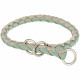 Collar de entrenamiento Trixie Verde Arena XS/S 25-31 cm