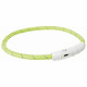 LED Collar for Pets Trixie Green L/XL