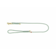 Dog Lead Trixie
