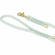 Dog Lead Trixie