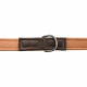 Adjustable dog leash Trixie Brown Light brown S/M 2 m