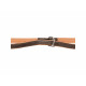 Adjustable dog leash Trixie Brown Light brown S/M 2 m
