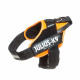 Arnés para Perro Julius K9 IDC Naranja L 1 66-85 cm