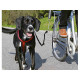 Correa para Perro Trixie Reflectante Bicicleta