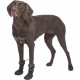 Leg protection walker Trixie Black L