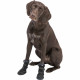Leg protection walker Trixie Black M