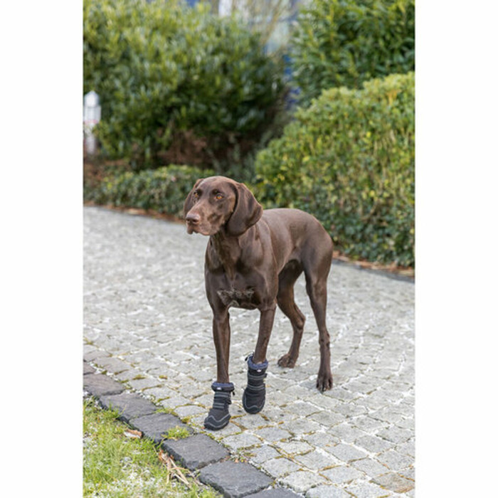 Andador de protección de patas Trixie Negro S/M Andador de protección de patas Trixie Negro S/M