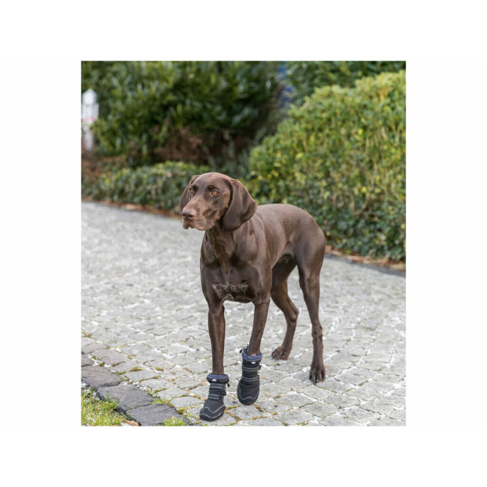 Andador de protección de patas Trixie Negro S/M Andador de protección de patas Trixie Negro S/M