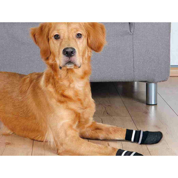 Socks Trixie Black XL Dog Socks Trixie Black XL Dog