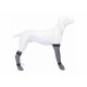 Socks Trixie Grey XL Dog Socks Trixie Grey XL Dog